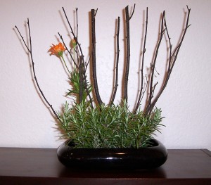 Jiyuka using branch material, rosemary and daisy (Virgie)